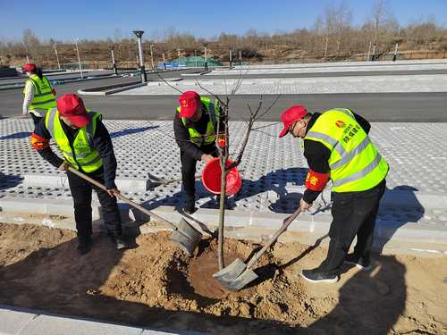 陜煤建設榆林公司開展“春日有約 ‘益’起種樹 綠色傳承 根植心間”主題黨日活動