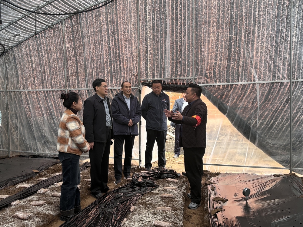 司正林深入定點幫扶村和漢陰實驗中學(xué)項目調(diào)研指導(dǎo)工作